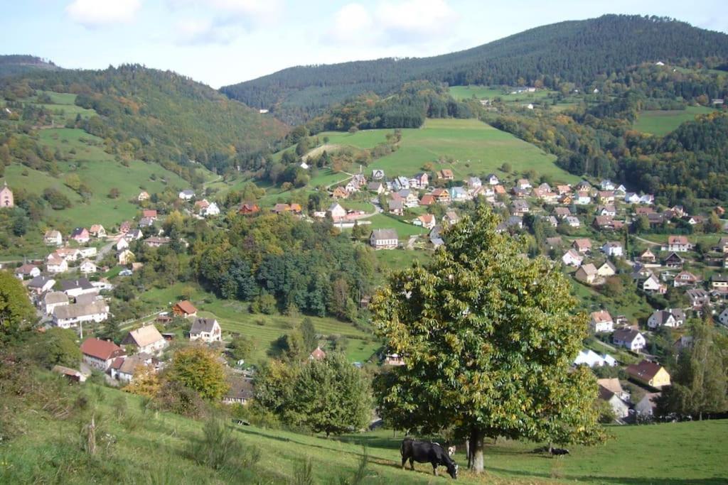 Yourte Des Verts Bois Fréland Kültér fotó